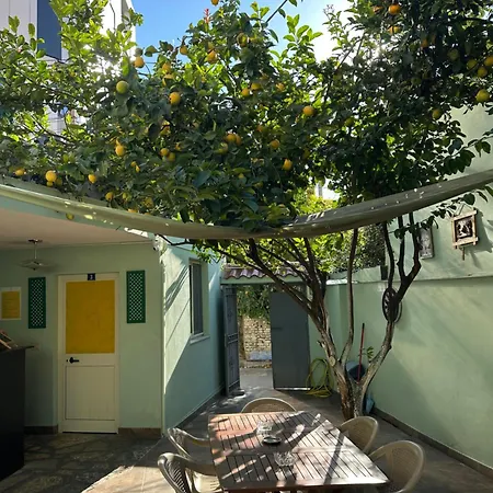 Lemon Breeze Auberge de jeunesse Tirana