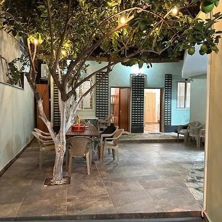 Hostel Lemon Breeze *